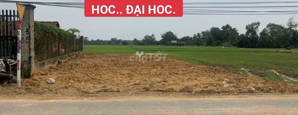 Đang làm ăn lớn bán mảnh đất, 250m2 giá bán khởi điểm 1.25 tỷ vị trí ở Long Thuận, Tây Ninh, hướng Đông liên hệ ngay để được tư vấn-03