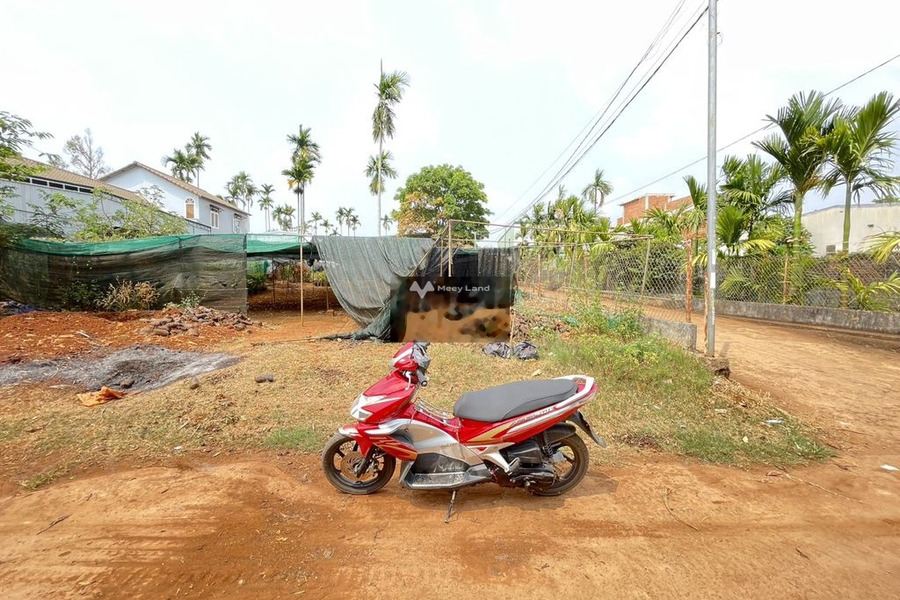 Vị trí đặt tọa lạc tại Hòa Thắng, Đắk Lắk bán đất, giá bán hữu nghị từ 1.6 tỷ diện tích tiêu chuẩn 155m2-01