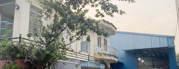 Mua bán kho bãi - nhà xưởng - khu công nghiệp thành phố Biên Hòa tỉnh Đồng Nai giá 45 tỷ-03