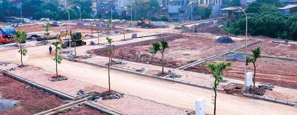 980 triệu bán đất có diện tích chung 230m2 vị trí đặt ngay ở Bắc Giang, Bắc Giang-03