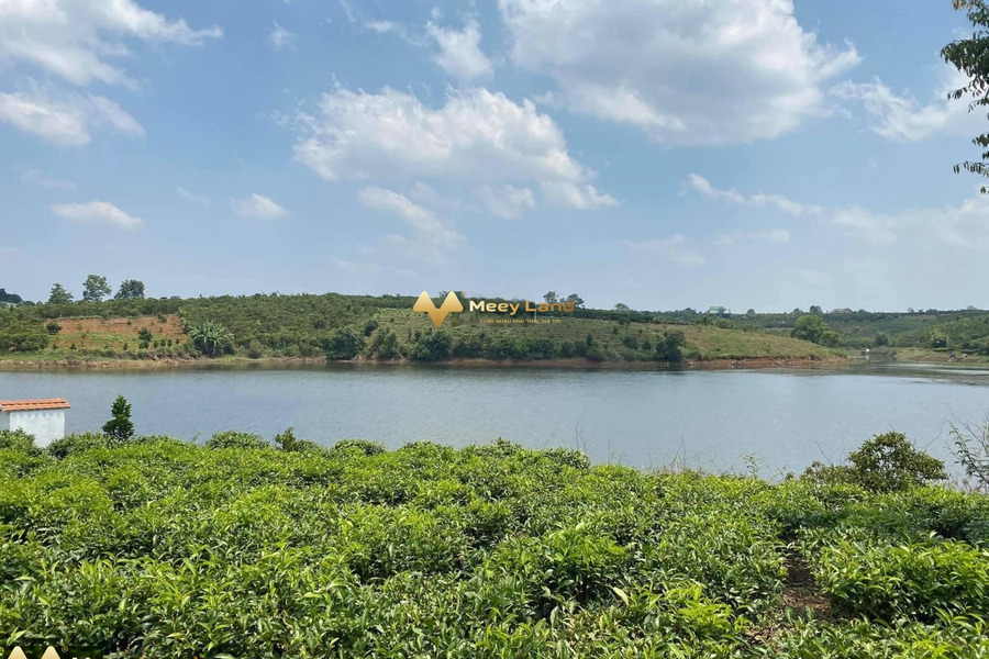 Bán đất tại Di Linh, Lâm Đồng, 500 triệu, diện tích 200m2-01
