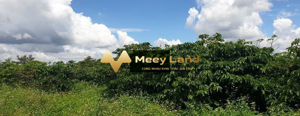 Giá hữu nghị 699 triệu bán đất có một dt sàn 20 m2 vị trí nằm ở Xã Đắk Sắk, Huyện Đắk Mil-02