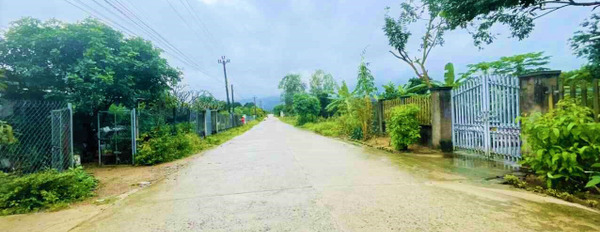 Đất vườn biệt thự thổ cư Suối Tiên, Diên Khánh, cách Hương lộ 39 chỉ 400m-02