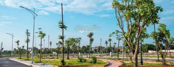 Tại Hiệp Bình Phước, Hồ Chí Minh bán đất diện tích vừa phải 60m2-03