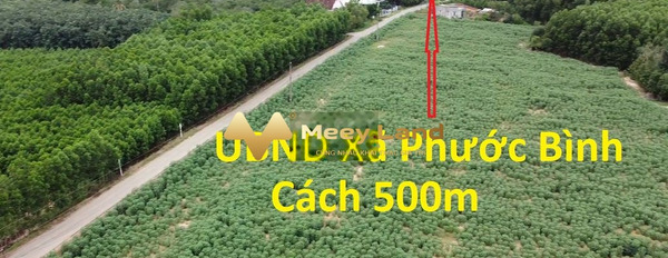 Xã Phước Bình, Huyện Long Thành 2.56 tỷ bán đất diện tích rộng rãi 1141m2-02