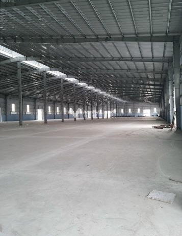 Cho thuê kho bãi diện tích 8500m2 nằm ngay bên trong Đường 206, Văn Lâm