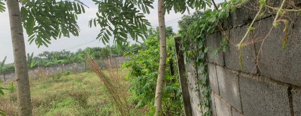 Bán đất tại đường Hàm Nghi, xã Bảo Quang, Long Khánh, Đồng Nai diện tích 7000m2, giá 1,4 triệu/m2-03