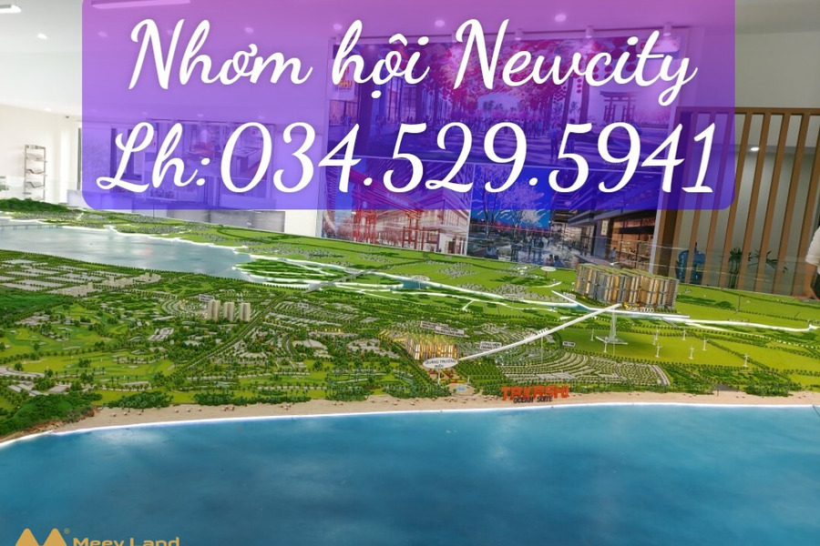 Cần bán đất ven biển mặt tiền Quốc lộ 19B, Quy Nhơn, 30 triệu/m2-01