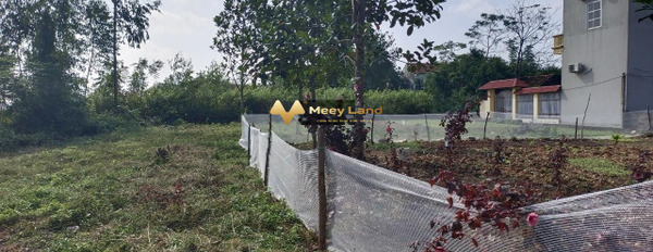 Vị trí đặt vị trí ngay trên Xã Tân Dân, Huyện Sóc Sơn bán đất, giá hấp dẫn từ 510 triệu có diện tích chuẩn 93 m2-03