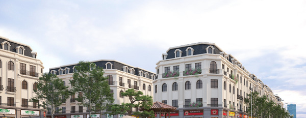 Hoài Đức lên quận, nhanh tay mua nhà phố Sơn Đồng Center sổ sổ lâu dài-03