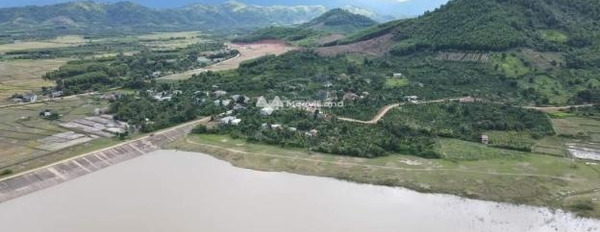 Bán đất 180 triệu Krông Pắc, Đắk Lắk có diện tích khoảng 469.2m2-03