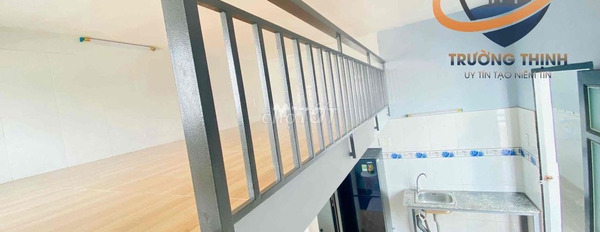 Cho thuê căn hộ diện tích là 30m2 tọa lạc gần Nguyễn Hữu Tiến, Tây Thạnh thuê ngay với giá hạt dẻ từ 4.5 triệu/tháng-02