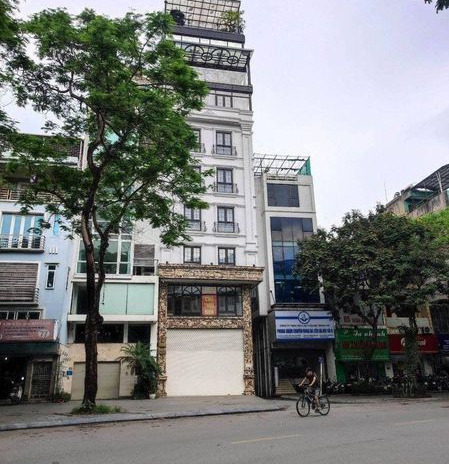 Bán nhà mặt đường phố Trần Đại Nghĩa, quận Hai Bà Trưng