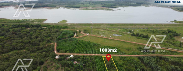 Giá bán công khai 1.5 tỷ, Bán đất toàn bộ khu vực có diện tích 1003m2 vị trí đẹp tại Xuân Hiệp, Đồng Nai cảm ơn bạn đã đọc tin-03