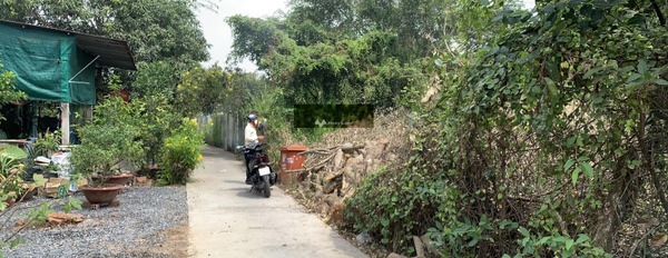 Bình Chánh, Hồ Chí Minh bán đất giá mua ngay chỉ 4.5 tỷ với diện tích khoảng 875m2-03
