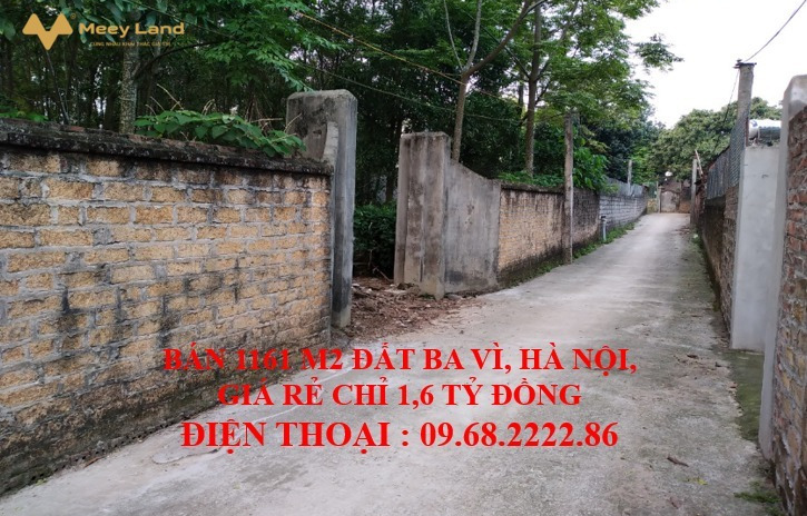 Tôi bán 1161m2 đất thổ cư chính chủ tuyệt đẹp ở Xóm 2, thôn Vật Yên, xã Vật Lại, huyện Ba Vì, Hà Nội