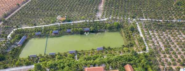 Vị trí tốt tại Hòa Thắng, Bình Thuận bán đất giá khoảng từ 385 triệu tổng diện tích 3401m2-03