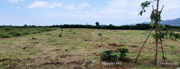 Đất ngộp Lộc Nga - cách đường Nguyễn Khắc Nhu 20m. 0353 491 *** -03