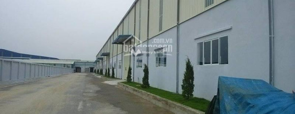 Tôi chính chủ cho thuê kho bãi có diện tích chung là 3000m2 vị trí đẹp nằm ở Tỉnh Lộ 427, Thường Tín thuận tiện di chuyển-03