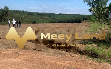 Bán mảnh đất 250m2 huyện Đồng Phú, Bình Phước, giá 795 triệu-03