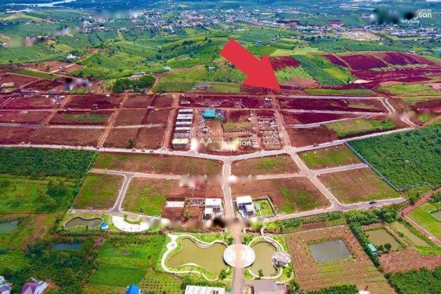 Bảo Lâm, Lâm Đồng 3.75 tỷ bán đất diện tích trong khoảng 500m2-01