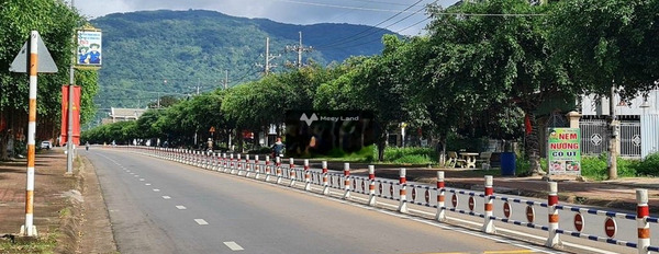 Vị trí trung tâm Gia Ray, Xuân Lộc bán đất, giá thỏa thuận từ 260 triệu Diện tích nền 120m2-02