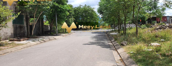 Vị trí đặt ở trong Đường Quốc Lộ 1A, Hà Tĩnh bán đất, giá bán sang tên chỉ 375 triệu dt thực 90 m2-02