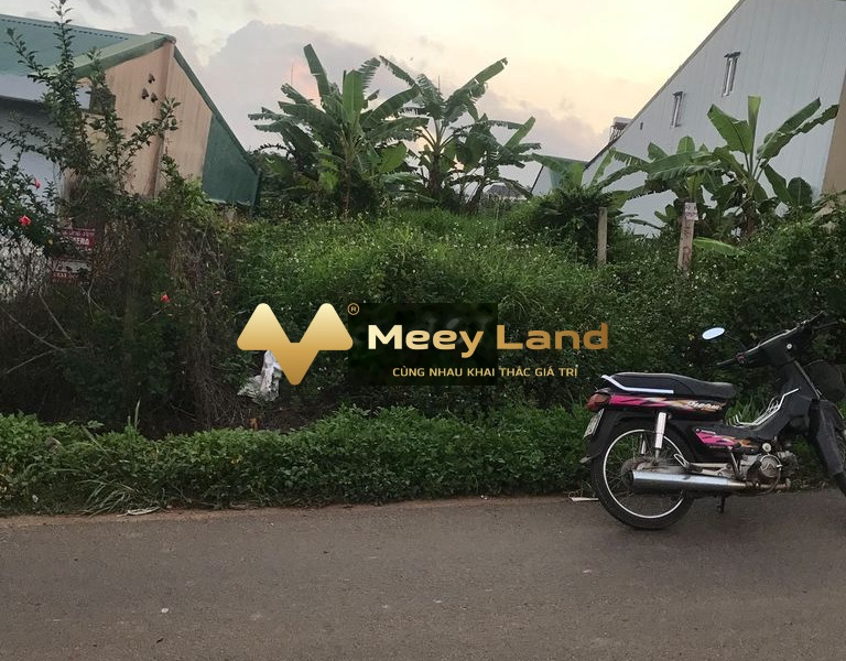 Lam Sơn, Lâm Đồng bán đất giá bán chỉ từ chỉ 5 tỷ có dt 400 m2-01