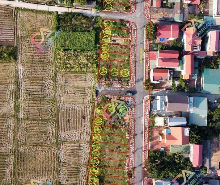 Nguyên Khê, Hà Nội bán đất giá khởi điểm 340.06 tỷ diện tích rất rộng 7557m2-01