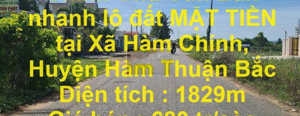 Bán nhanh lô đất MẶT TIỀN tại Xã Hàm Chính, Huyện Hàm Thuận Bắc -03