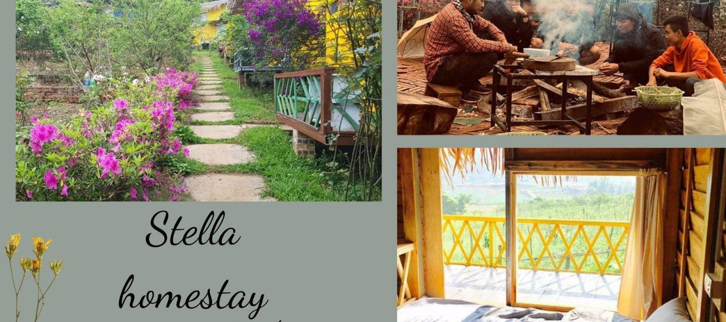 Cho thuê Stella homestay Mộc Châu