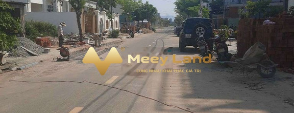 Bán đất vị trí đặt tọa lạc ngay Cẩm Lệ, Đà Nẵng-03