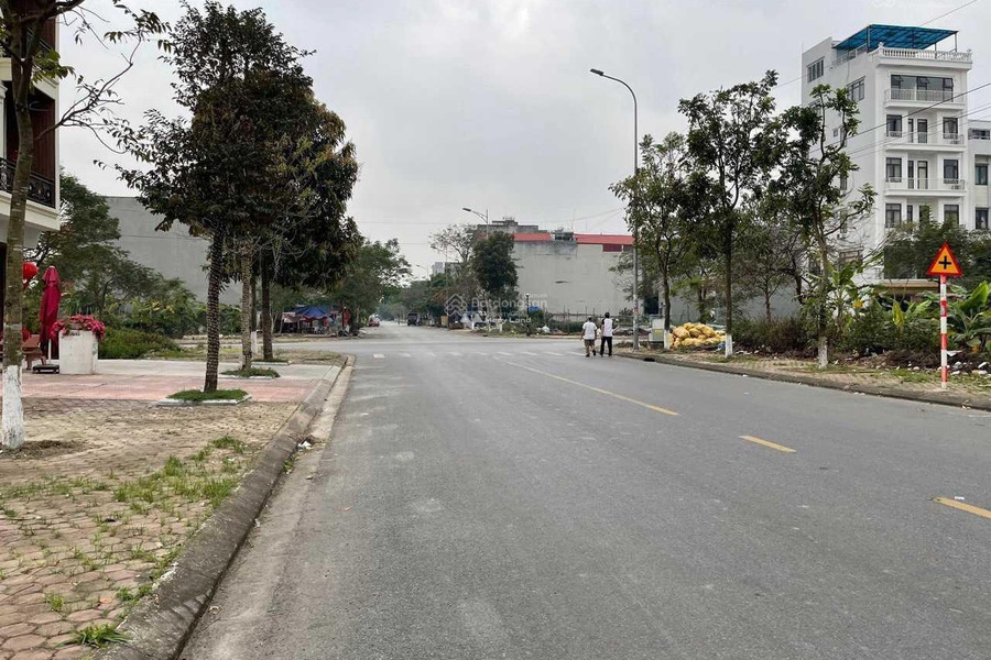 Bán đất tại Võ Cường, Bắc Ninh. Diện tích 100m2-01