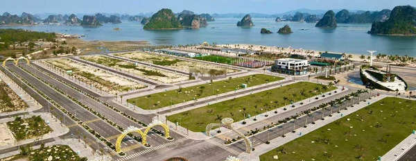 Cần bán đất tại Vân Đồn, Quảng Ninh. Diện tích 87,5m2-02