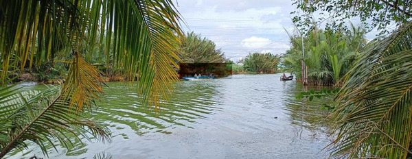 Liên Cảng, Nhơn Trạch bán đất giá siêu khủng 3.41 tỷ diện tích chuẩn 5774m2-03