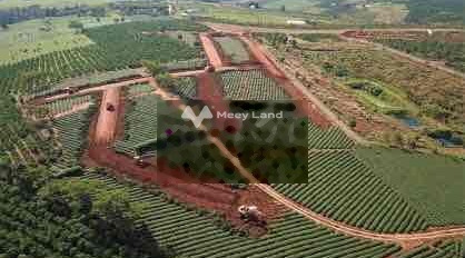 400 triệu bán đất có diện tích thực là 1000m2 vị trí đặt ở trong Hòa Bắc, Di Linh, hướng Đông Nam-02