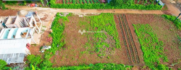 Giá cực mềm 230 triệu bán đất diện tích dài 132m2 vị trí đặt ở trong Vĩnh Trung, Vĩnh Linh, hướng Đông Nam-03