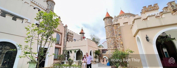 Bán lâu đài nghỉ dưỡng đẹp nhất Hà Nội - Thiết kế sang trọng - doanh thu 300 triệu/tháng - 3X tỷ vị trí tốt-03