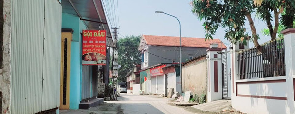 Cần bán nhà riêng huyện Bình Xuyên-03