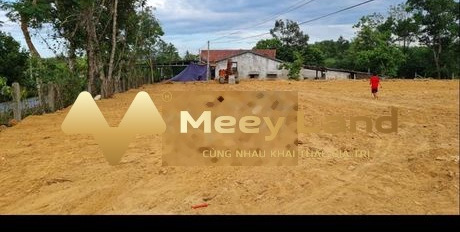 Bán đất tại Bình Thành, Thừa Thiên Huế. Diện tích 174m2, giá 750 triệu-02