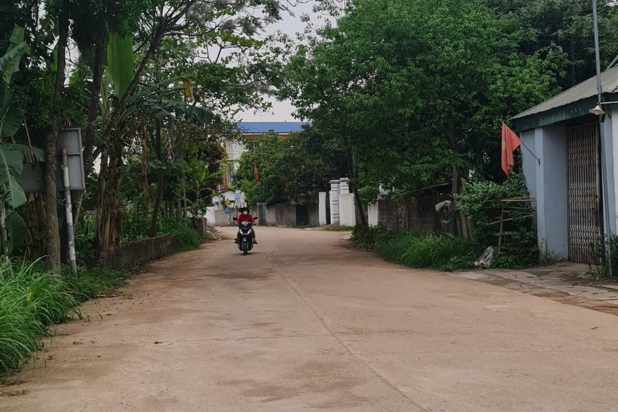 Bán đất full thổ cư tại Hướng Đạo, Tam Dương, Vĩnh Phúc 2400m2-01
