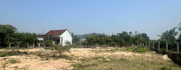 Cần bán đất huyện Tuy Phước, Bình Định, giá 4 tỷ-03