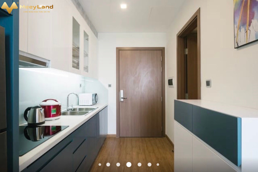 Chính chủ cần cho thuê căn hộ 1 phòng ngủ, Vinhomes Green Bay Mễ Trì, 30m2 giá chỉ từ 5.5 triệu/tháng-01