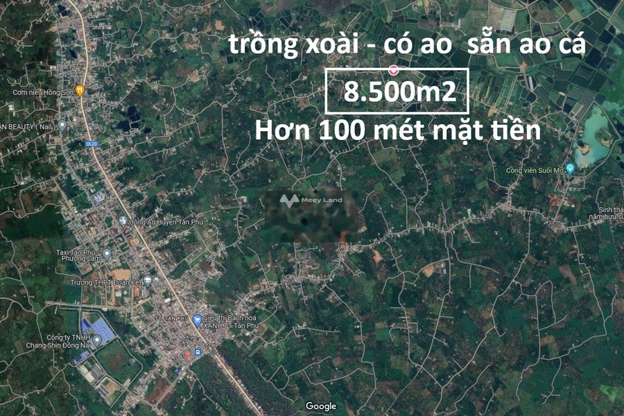 Bán đất giá 7 tỷ tại Tân Phú, Đồng Nai-01