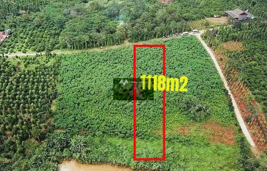 508 triệu bán đất diện tích rất rộng 1118m2 vị trí thuận lợi tọa lạc ngay trên Đắk Wer, Đắk Nông, hướng Tây-01