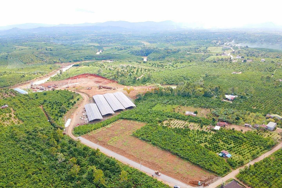 Bán đất vị trí thuận lợi gần xã Tân Lạc, huyện Bảo Lâm-01