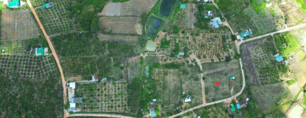 Bán đất diện tích 600m2 tại Ea Sar, Đắk Lắk-02