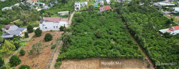 Giá bán siêu khủng chỉ 6.9 tỷ, Bán đất với diện tích tiêu chuẩn 904m2 nằm trên Lộc Sơn, Lâm Đồng giá tốt nhất-03