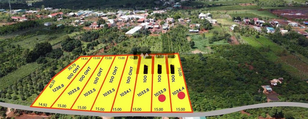 Bán đất 360 triệu Xã Trang, Đăk Đoa có diện tích khoảng 1000m2-02