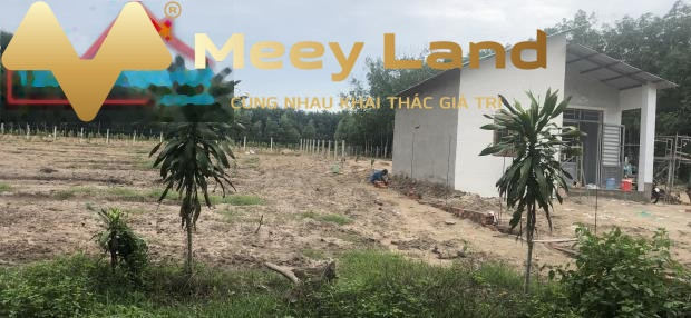 Bán đất 1.95 tỷ Phước Bình, Phước Bình với dt rộng 1000 m2-01